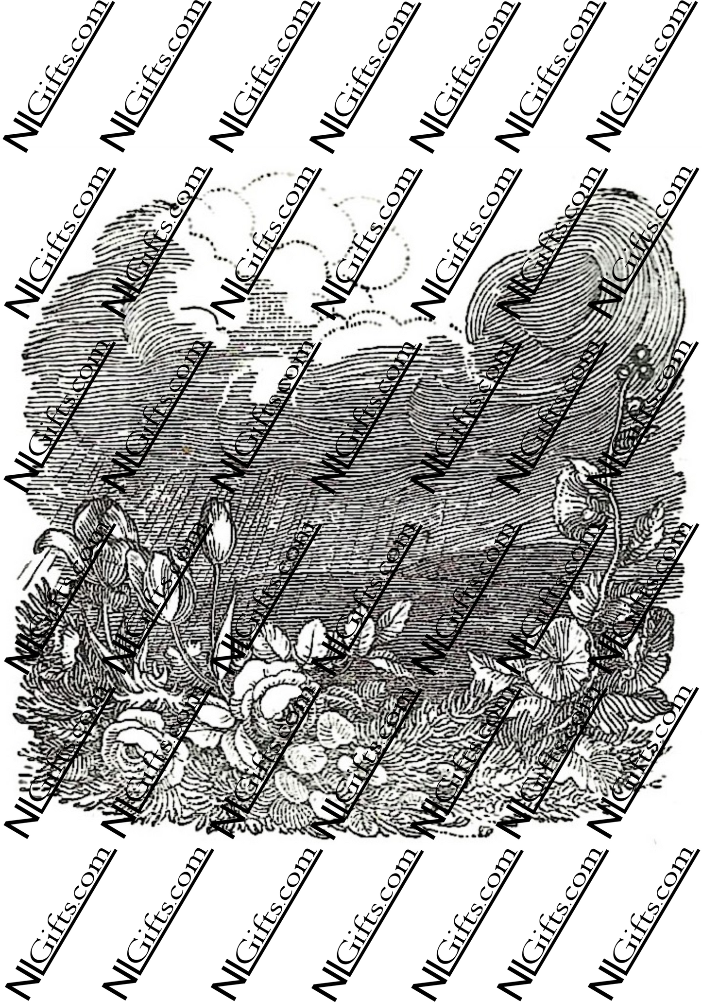 Images Digital Download - Economy of Human Life 13B