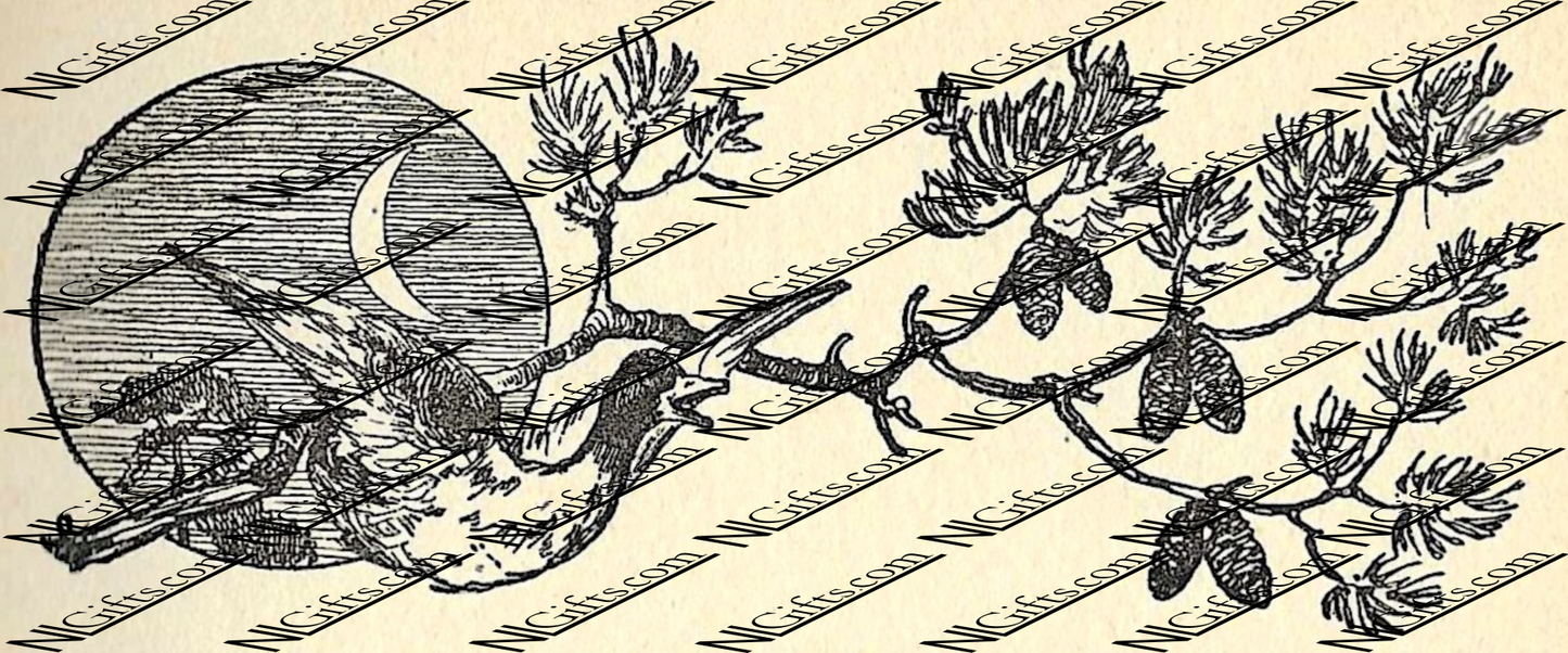 Images Digital Download - Complete Tales 1B