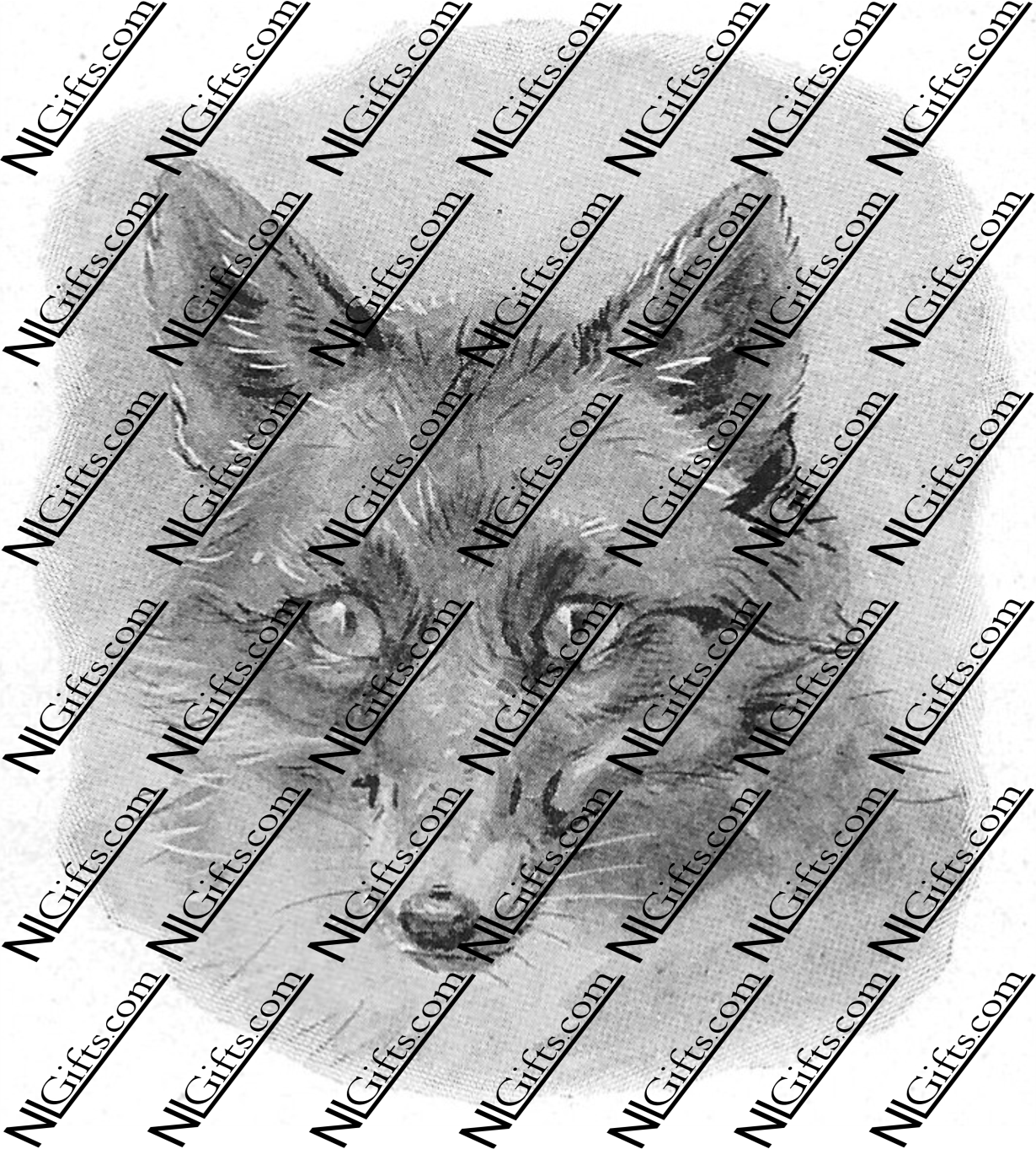 Images Digital Download - Wild Animals 5P