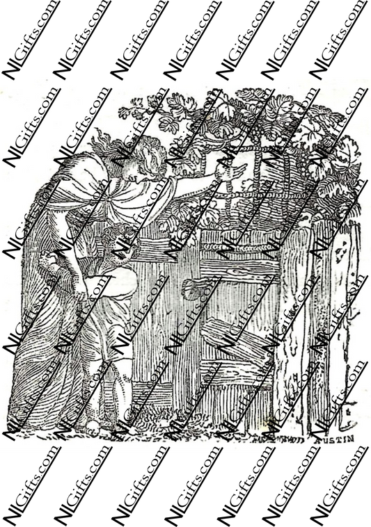 Images Digital Download - Economy of Human Life 11B