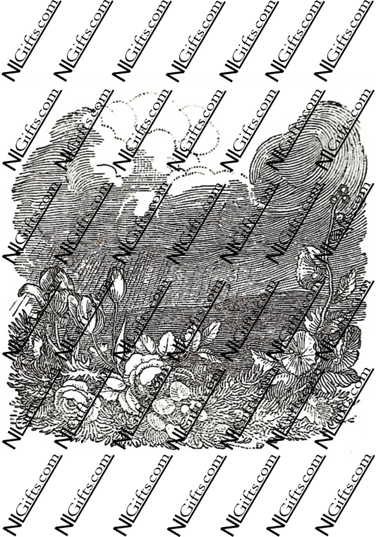 Images Digital Download - Economy of Human Life 13B