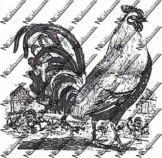 Images Digital Download - English Farming 4B