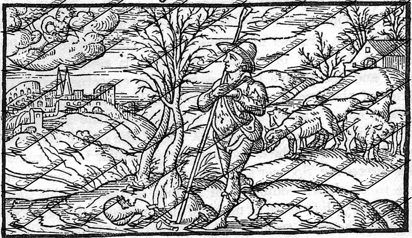 Images Digital Download - History & English Literature 3P