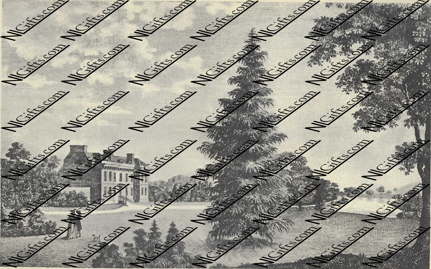 Images Digital Download - Madcap's Progress 4P