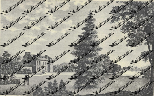 Images Digital Download - Madcap's Progress 4P