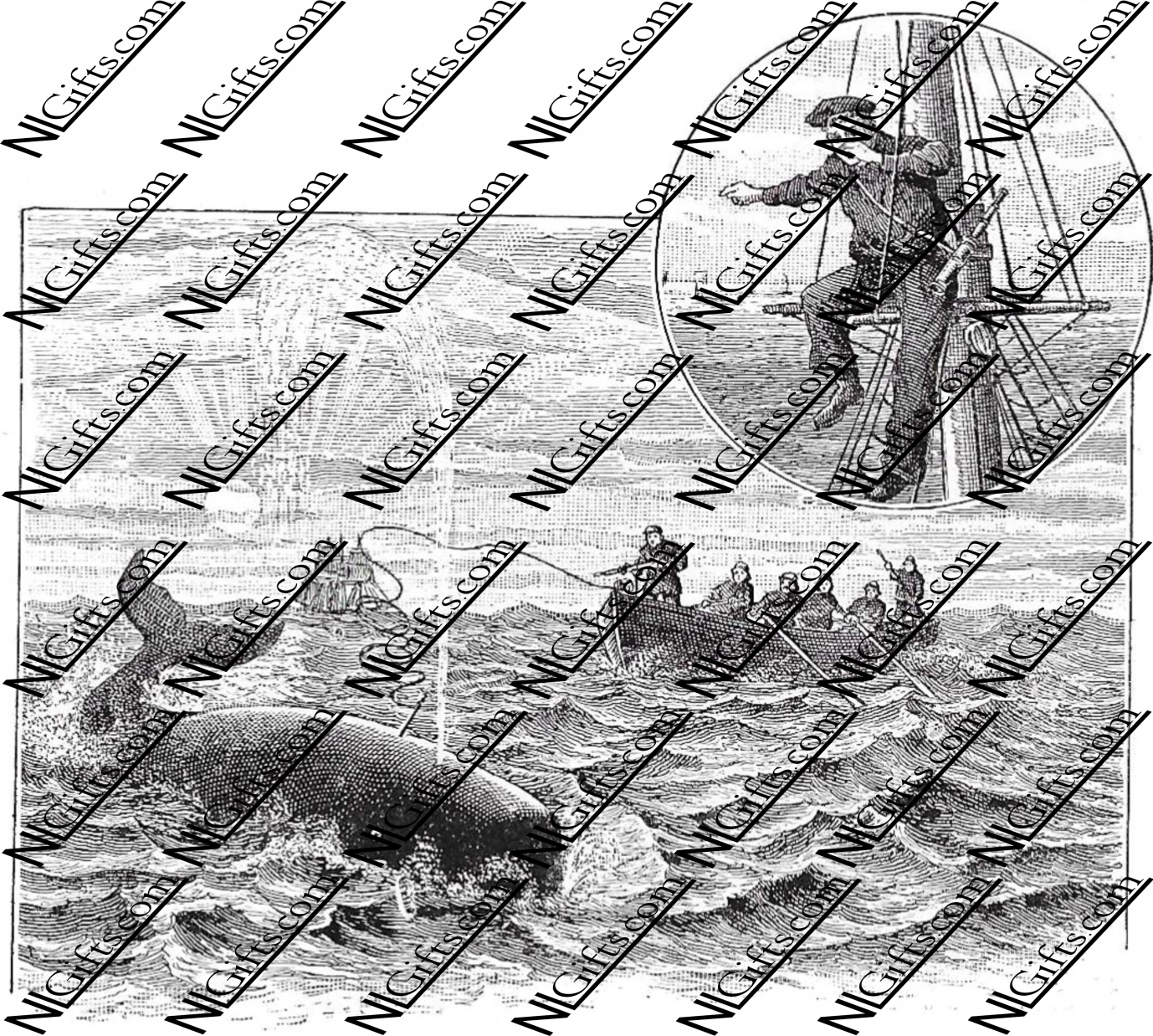 Images Digital Download - Nature in New Zealand 5B