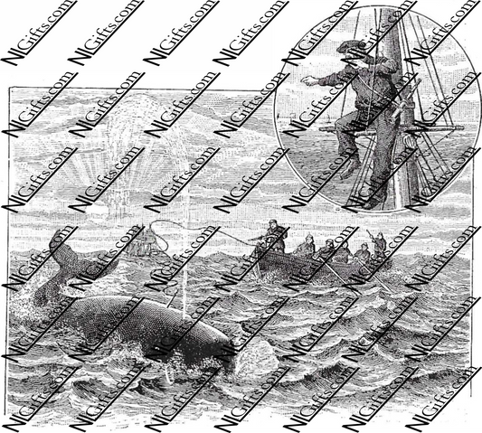 Images Digital Download - Nature in New Zealand 5B