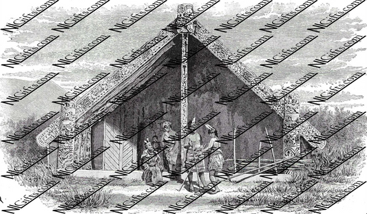 Images Digital Download - Nature in New Zealand 6B