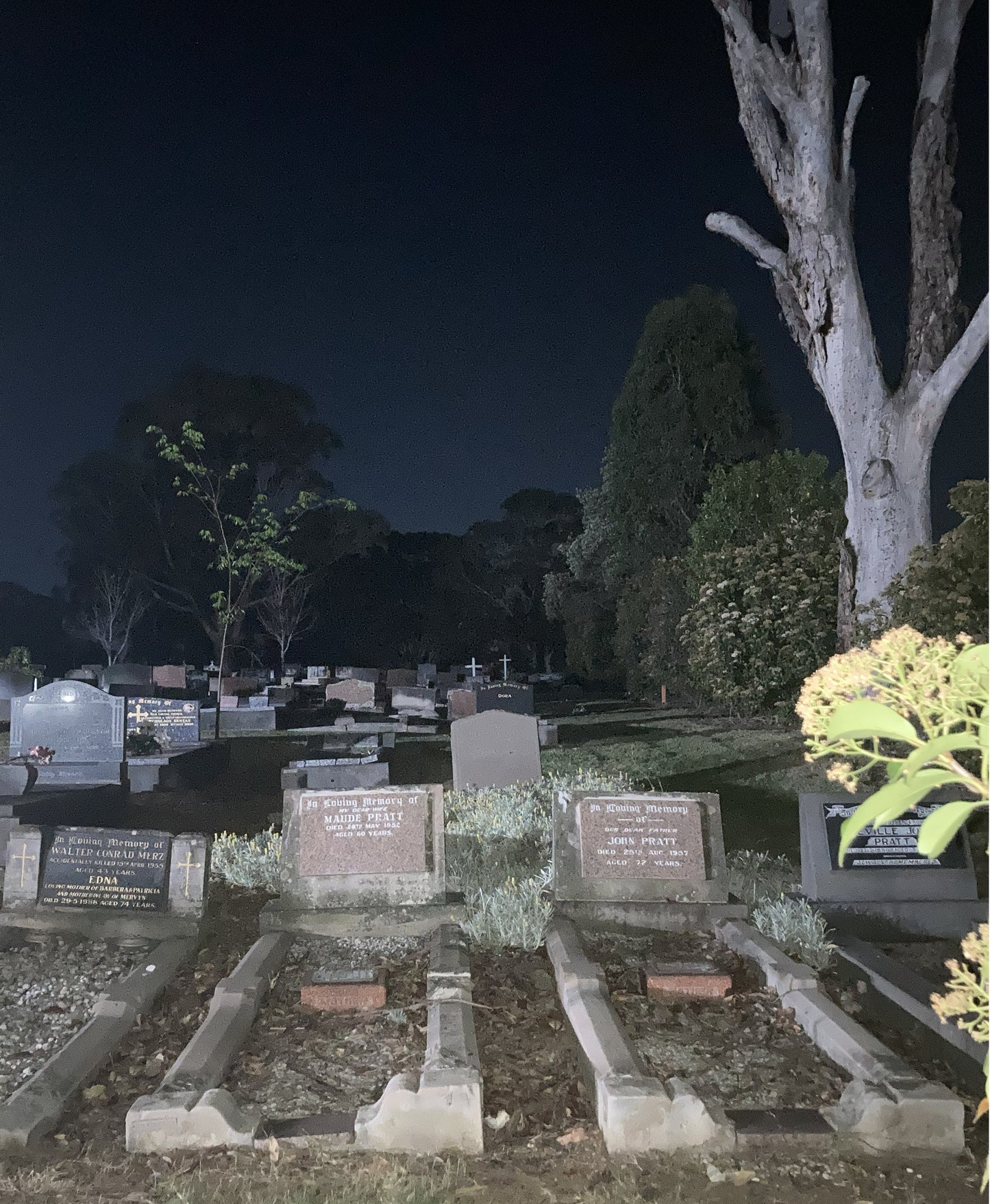 Spooky Tours - Nighttime Bus Tour of Penrith Local Gravesites 18+