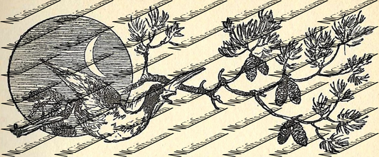 Images Digital Download - Complete Tales 1B