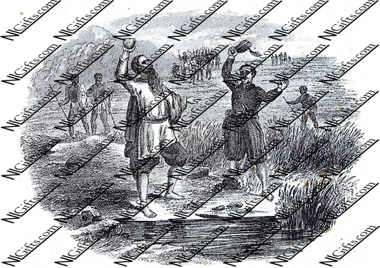 Images Digital Download - English Explorers 3B