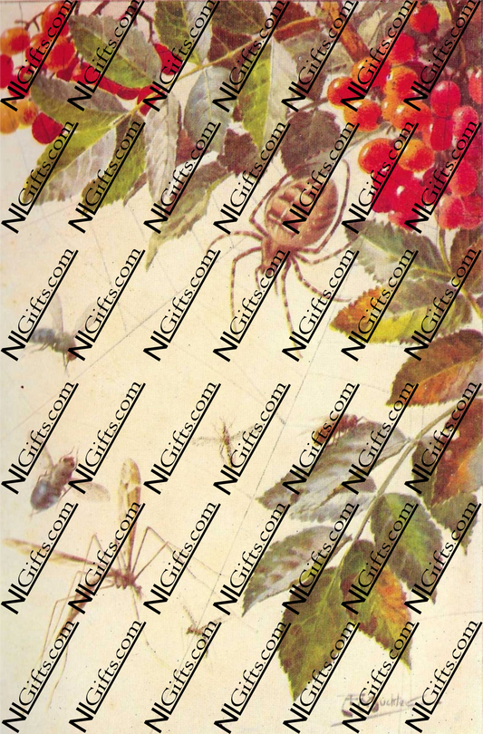 Images Digital Download - Natures Wonderland 3B