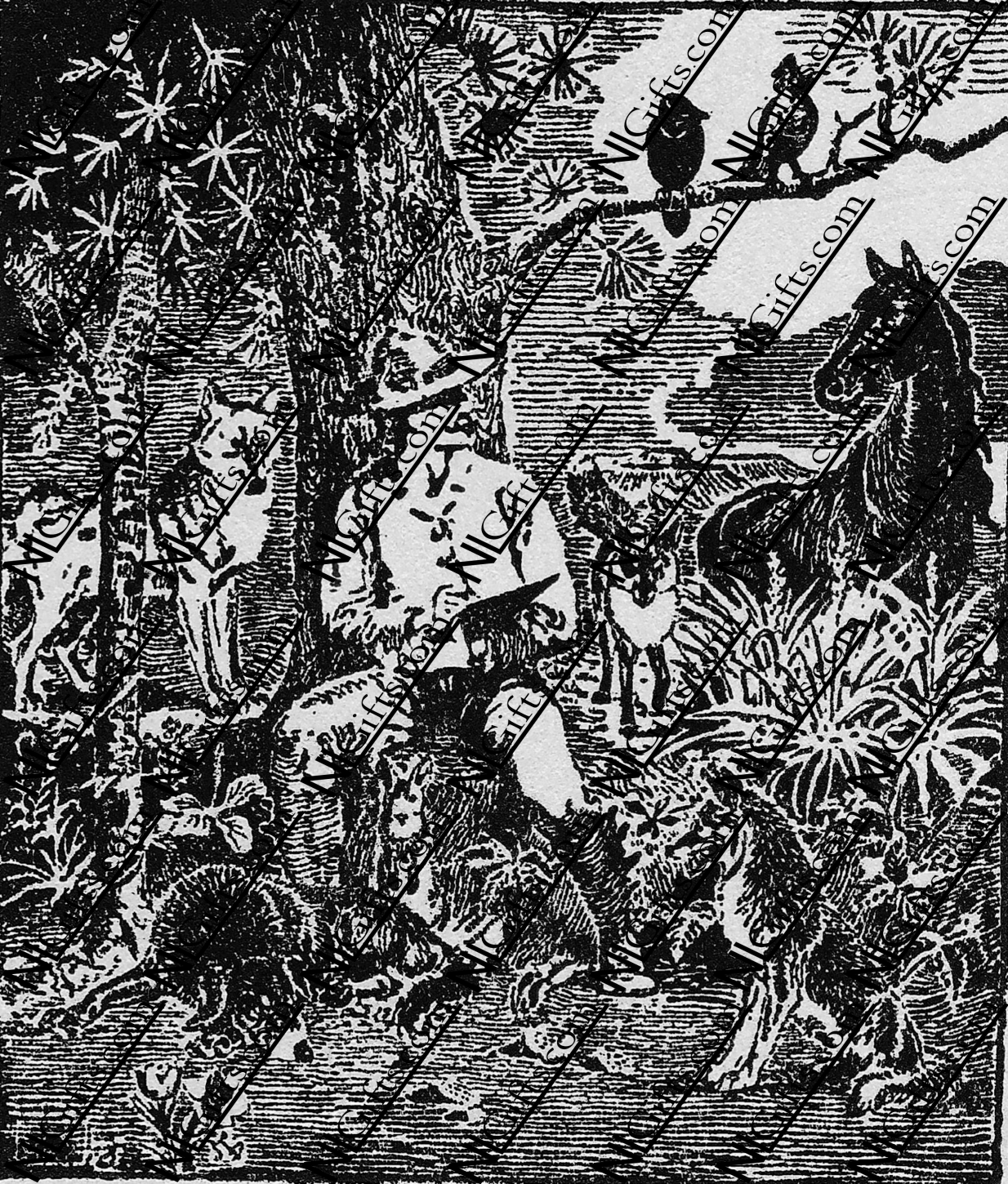 Images Digital Download - Wild Animals 1P