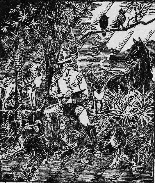 Images Digital Download - Wild Animals 1P