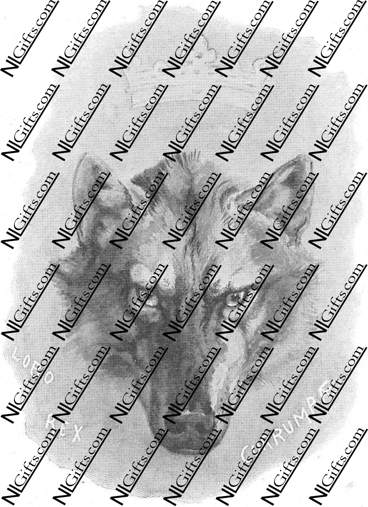 Images Digital Download - Wild Animals 3P