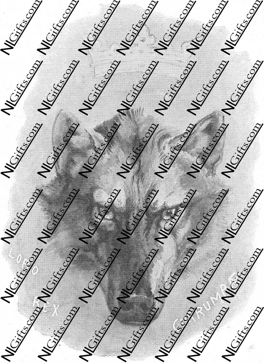 Images Digital Download - Wild Animals 3P