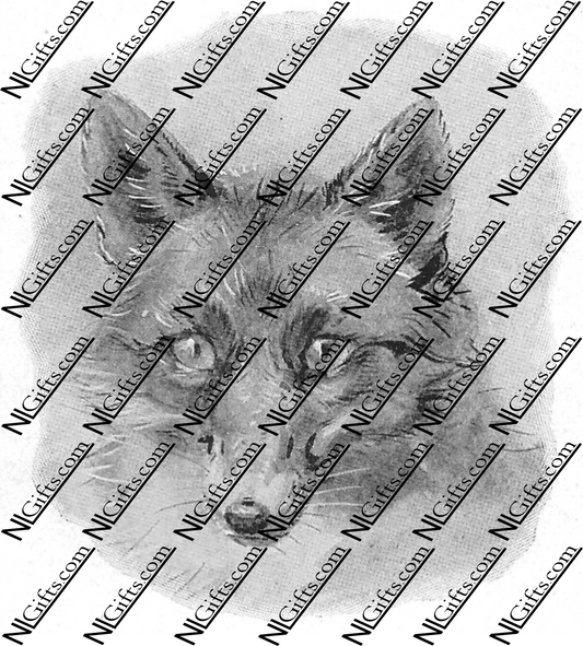 Images Digital Download - Wild Animals 5P